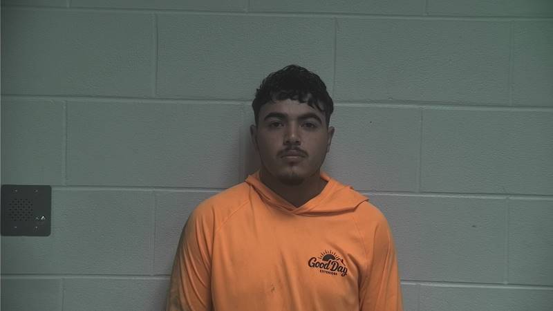 Booking photo of Alfredo De Paz Lima