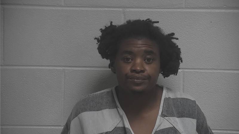 Booking photo of Kristen Johnson