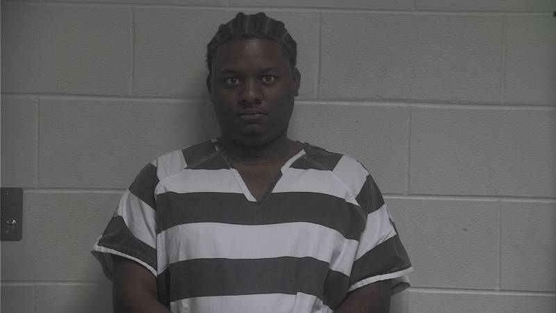 Booking photo of Devin Hudson