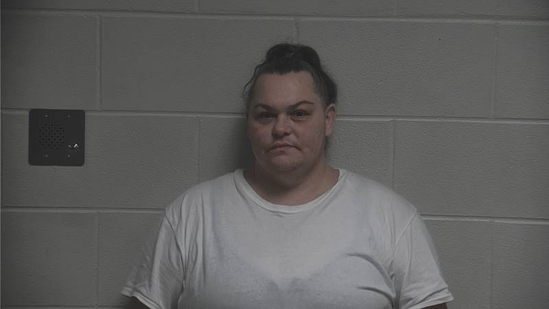 Cynthia Mendoza booking photo