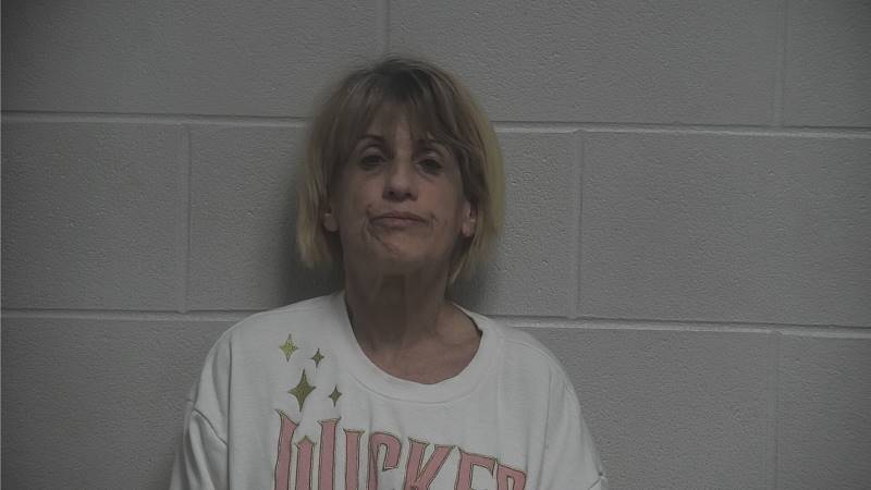 Booking photo of Penny Rosen