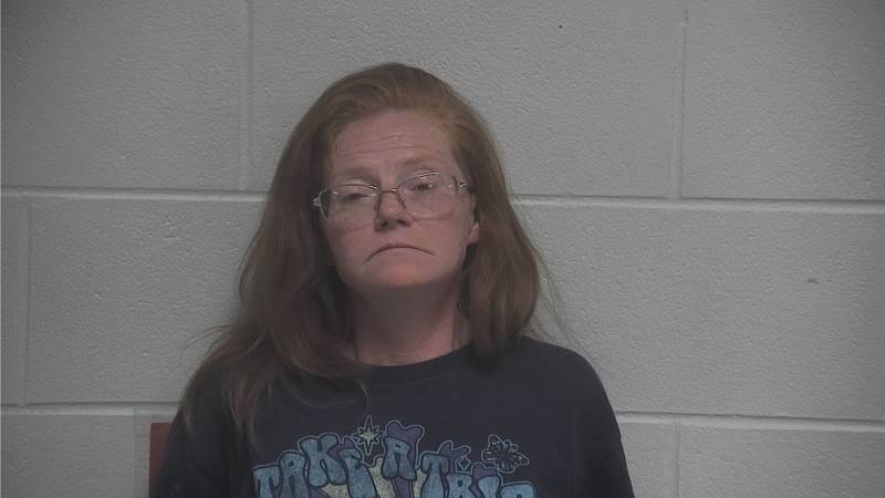 Booking photo of Dawnetta Barnes