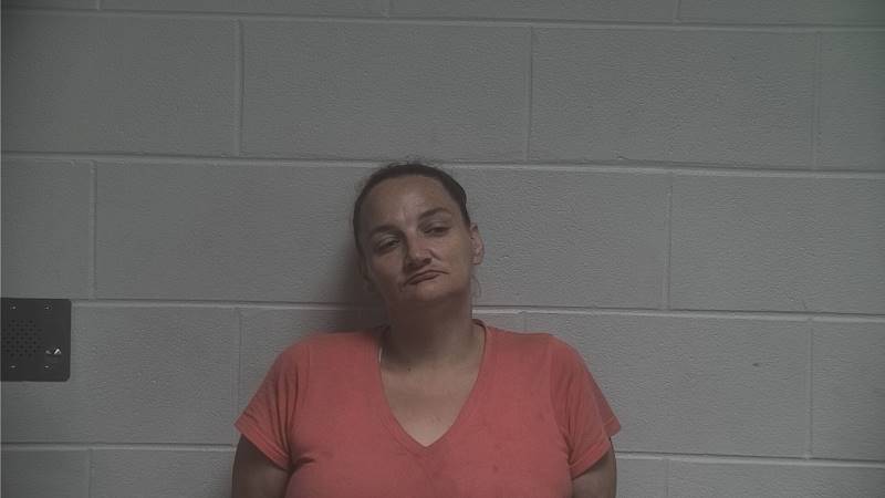 Booking photo of Tiffany Riley