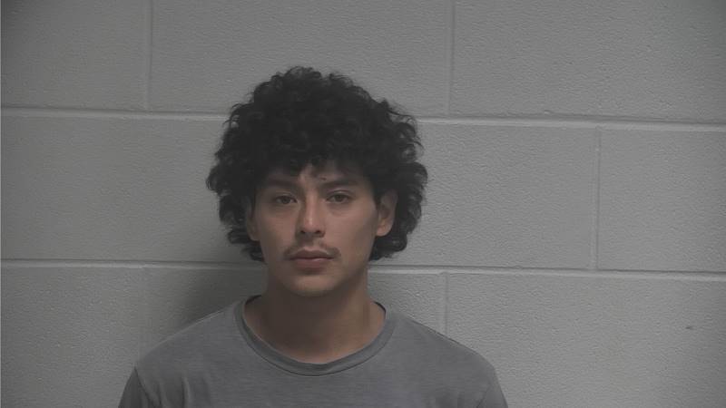 Booking photo of Alexis Selvin Martinez-aguilar