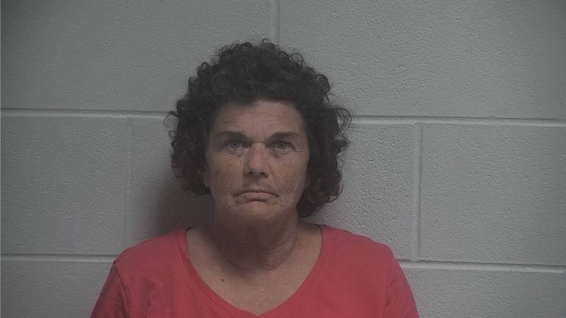 Nina Hunter booking photo