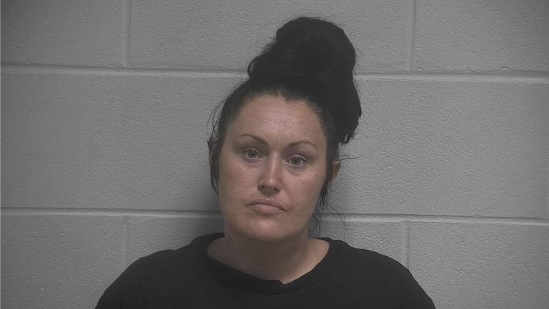 Ariel Allan booking photo