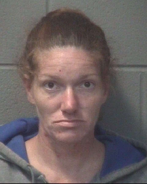 Booking photo of Robin Mclain