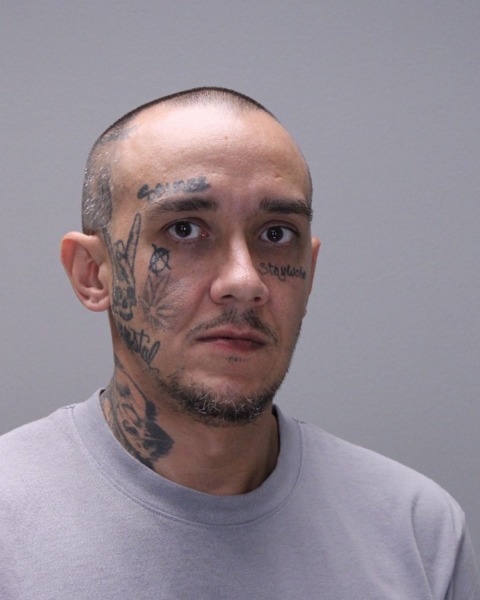 Booking photo of Bradley Orlopp