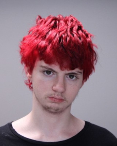 Booking photo of Damyan Eggers