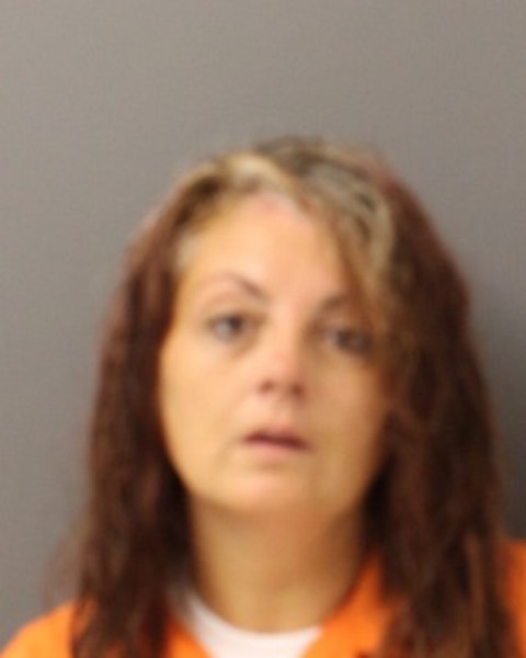 Booking photo of Kara Schmitz