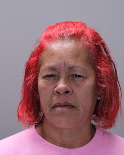 Booking photo of Sandra Santiago-santiago