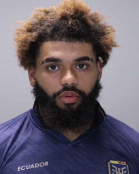 Booking photo of Ahmelle Whitfield