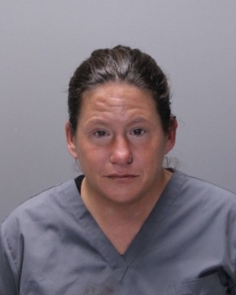 Booking photo of Dawn Broll