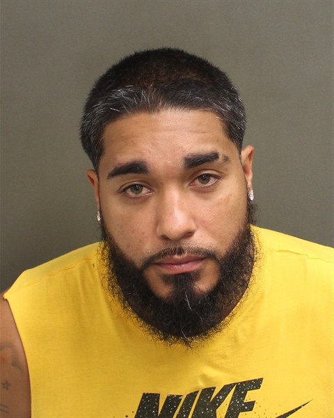 Booking photo of Luis Fernandez