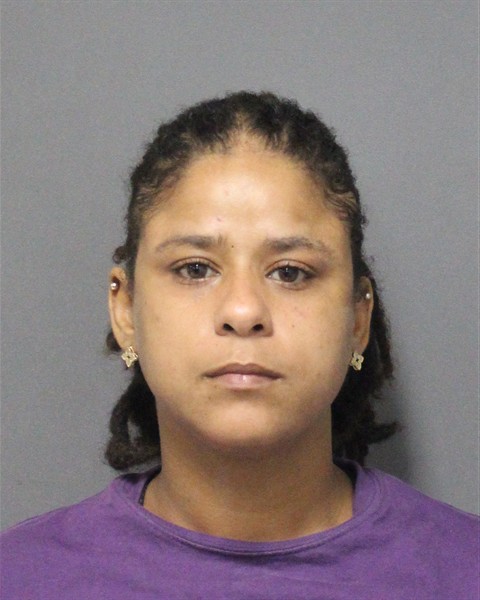 Booking photo of Damaris Santiago