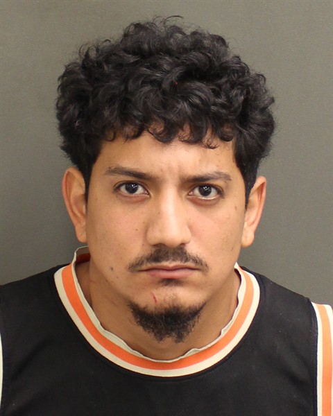 Booking photo of Ricardo Floresacosta