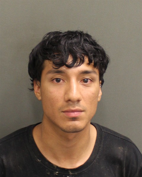 Booking photo of Ethan Siavichay