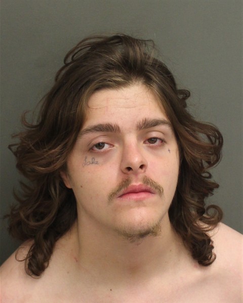 Booking photo of John Loveday