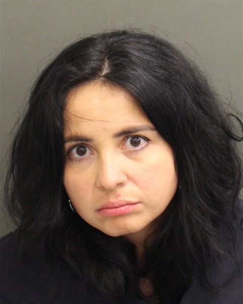 Booking photo of Rebecca Siple