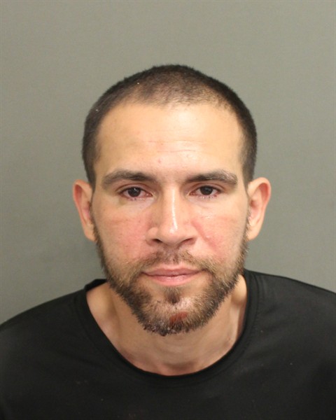 Booking photo of Jordany Avilessoto