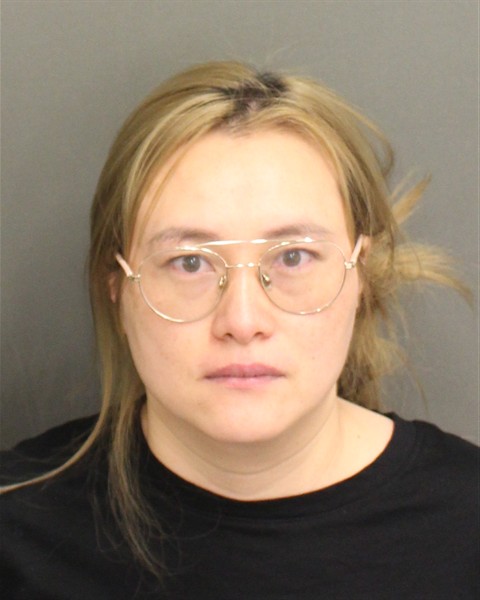 Booking photo of Li Chen