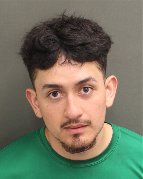 Booking photo of Udys Castilloorellana