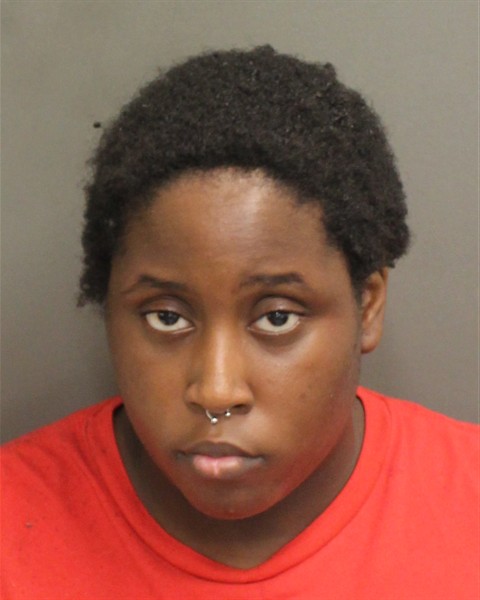 Booking photo of Rosandra Elmeus