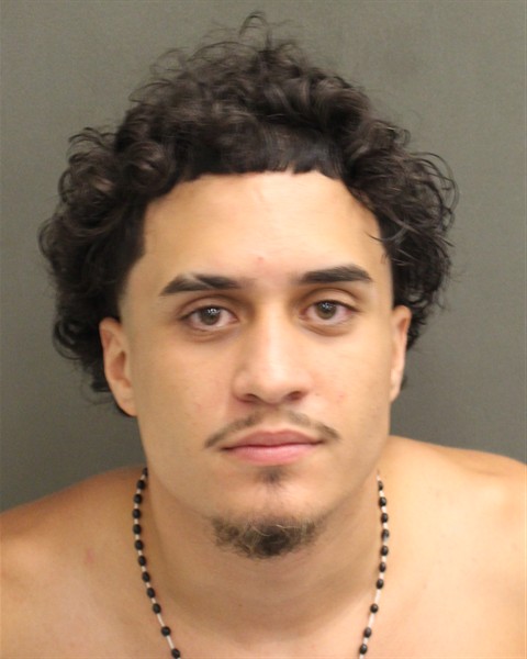 Booking photo of Vincenzo Girace