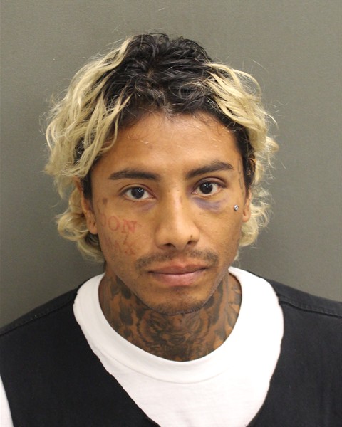 Booking photo of Christian Holguin
