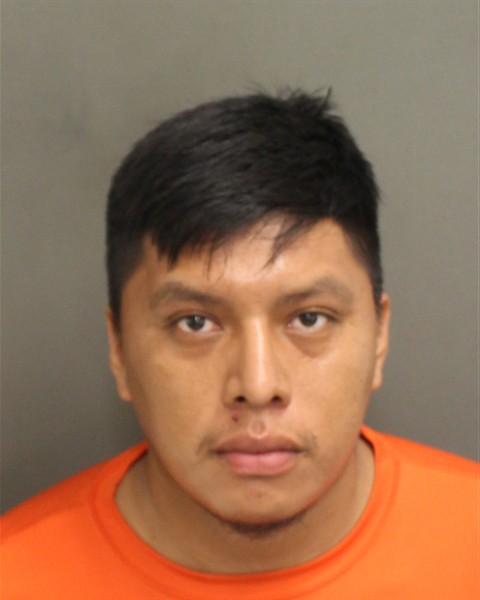 Booking photo of Ines Sanitogonzalez