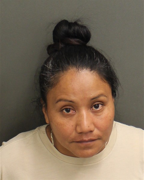 Booking photo of Romelia Domingogodinez