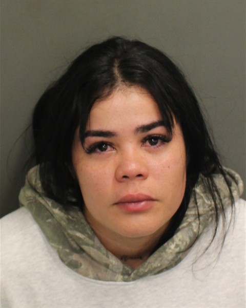 Booking photo of Fabiola Floresrojas