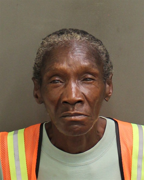 Booking photo of Daisy Simon
