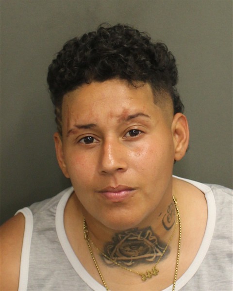 Booking photo of Yessenia Rodriguezcaraballo