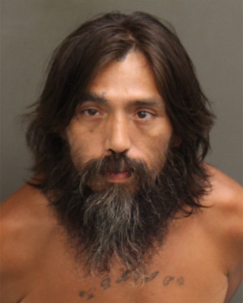 Bruce Ironnecklace booking photo