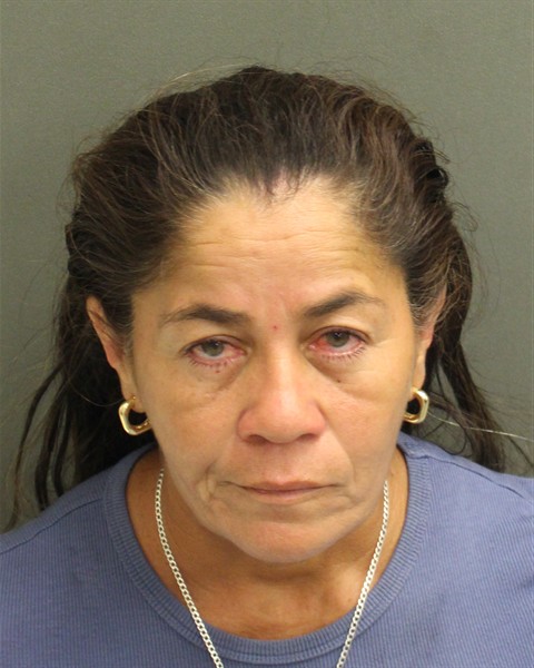Booking photo of Amanda Palmagiron