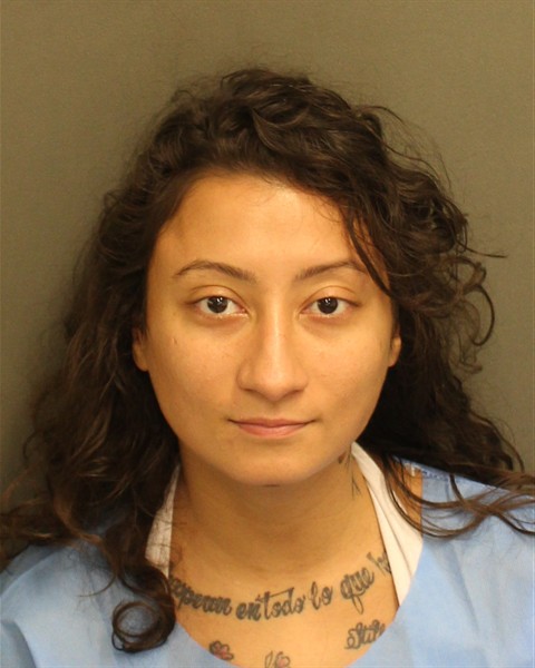 Booking photo of Annamarie Sasso