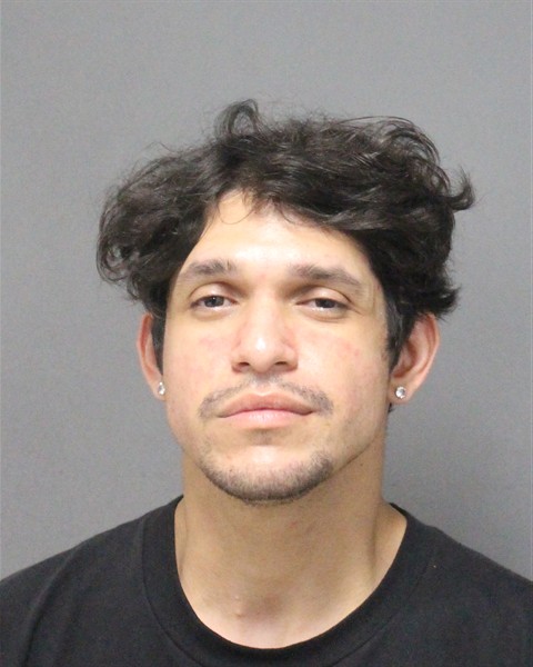 Booking photo of Sebastian Ibarra