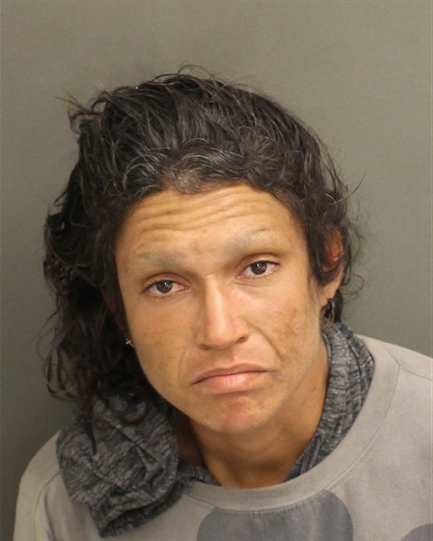 Ada Figueroa booking photo