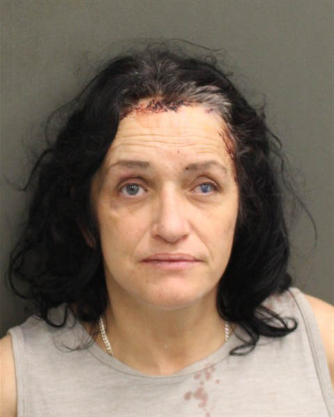 Booking photo of Nicole Santos