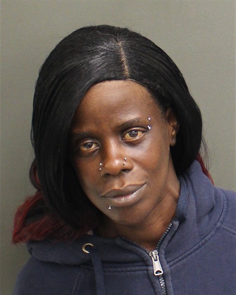 Erica Jean booking photo