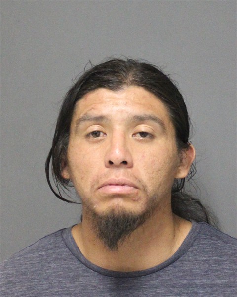 Booking photo of Bret Tiger