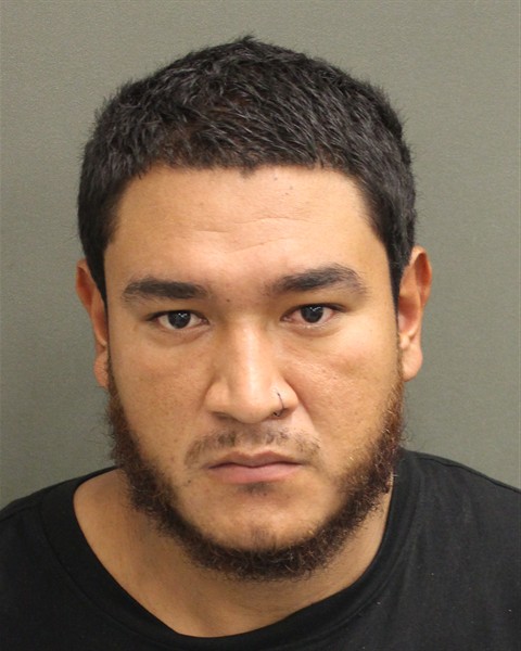 Booking photo of Fernando Paniaguavega