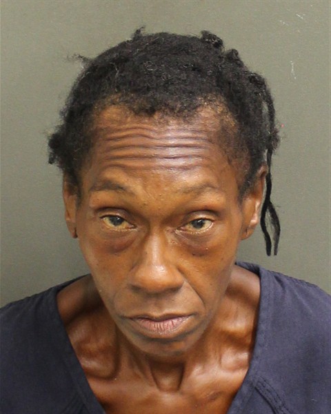 Amanda Mckinnon — Orange County, FL Arrest Record | muglist