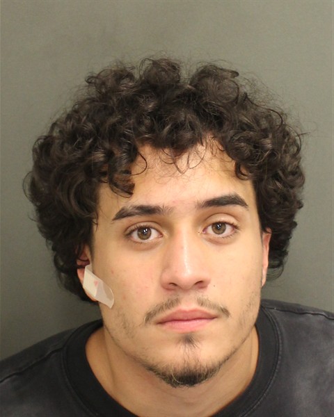 Booking photo of Vincenzo Girace