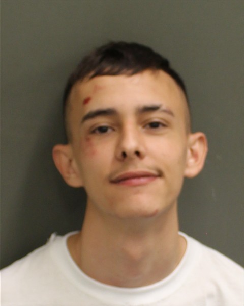 Booking photo of Henrique Zucarelli