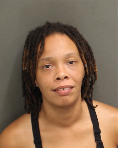 Booking photo of Rosa Janvier