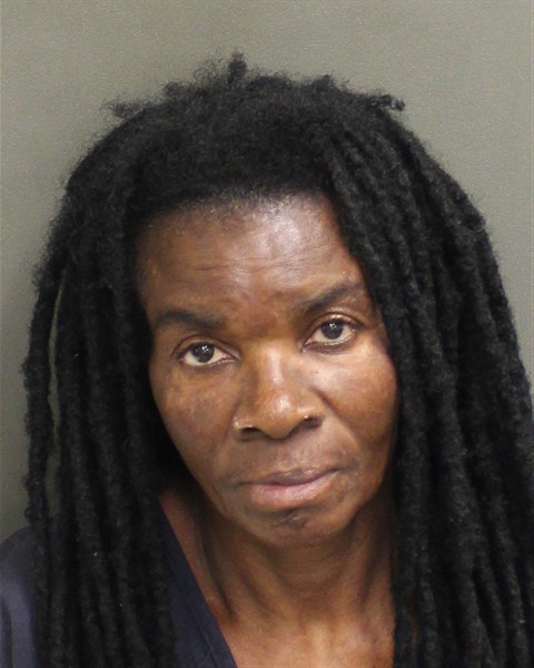 Booking photo of Anna Jelin
