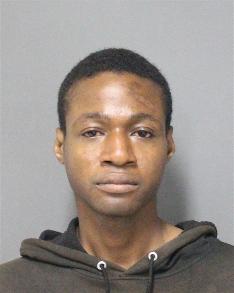 Booking photo of Larren Pines