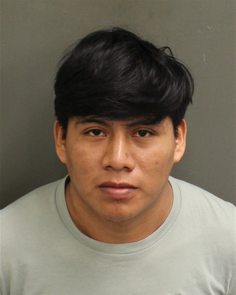 Booking photo of Danilo Ramirezsales